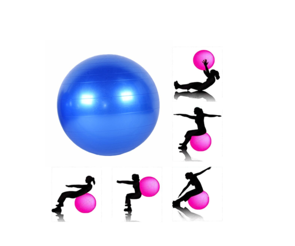 Fitness Ball (Normal) - Image 3