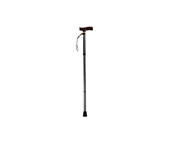 Walking Stick